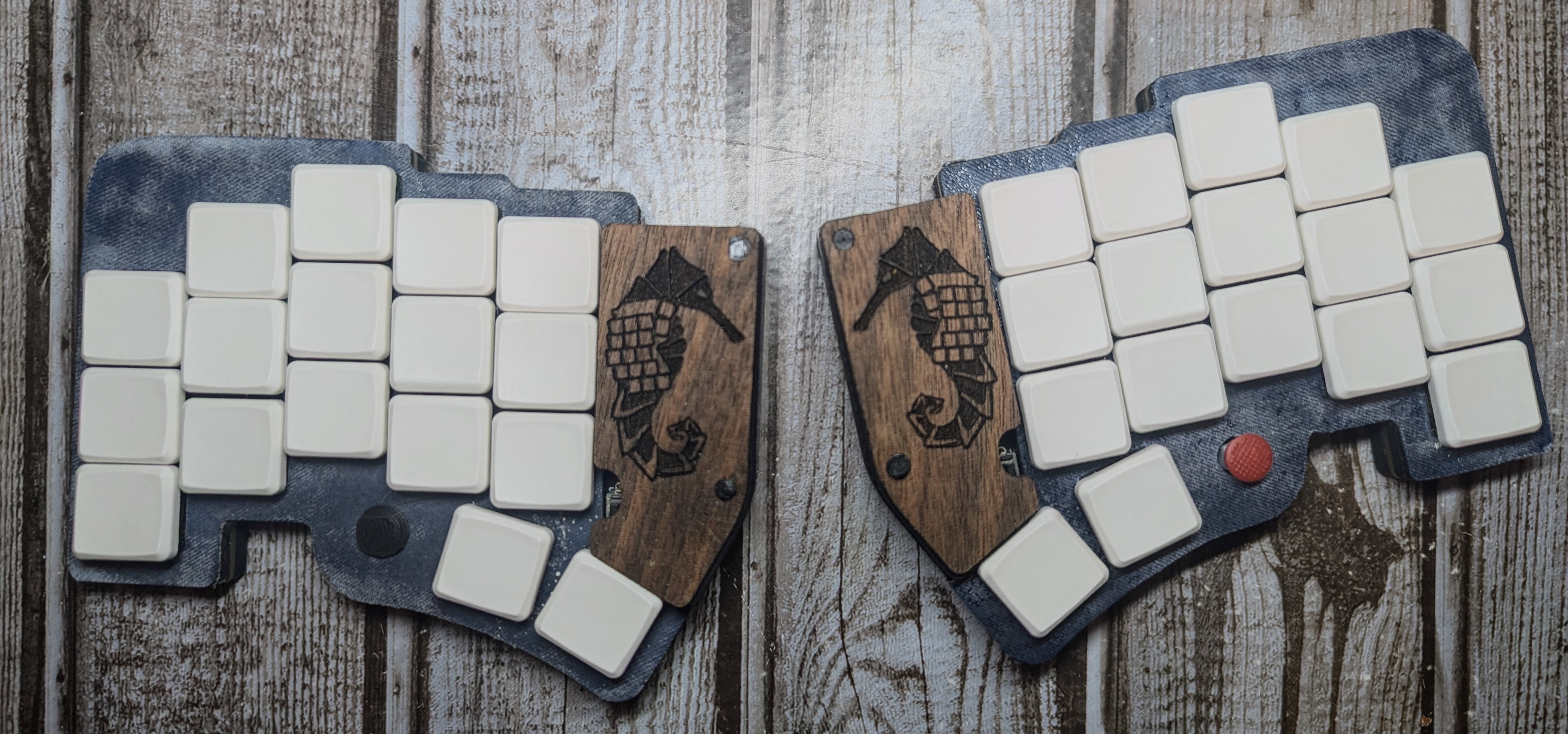 Both halves of the Seahorse v2 keyboard with engraved seahorses and a red TrackPoint